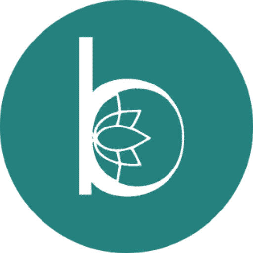 Logo Blossom Digital Agency - Conception et création de site Internet